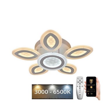 LED Fényerőszabályzós mennyezeti lámpa LED/95W/230V 3000-6500K + távirányító
