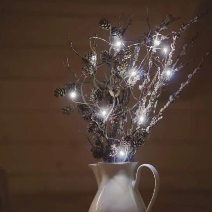 LED fényfüzér 20xLED/2xAA 2,4 m hideg fehér