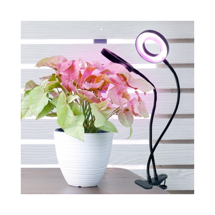 LED állítható fényerejű, rugalmas asztali lámpa csíptetővel növénytermesztéshez VITARO 2xLED/4W/230V fekete
