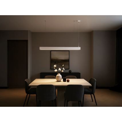 LED függeszték zsinóron LED/55W/230V 3000/4000/6500K 120 cm fehér