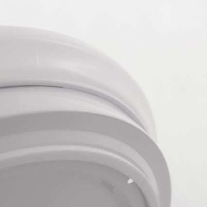 LED Fürdőszobai mennyezeti lámpa ADAR LED/17W/230V IP44 4000K