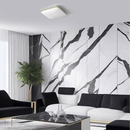 LED Fürdőszobai mennyezeti lámpa DABAR LED/17W/230V 4000K 33x33 cm IP44