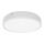 LED Fürdőszobai mennyezeti lámpa EGON LED/30W/230V IP44 3000K