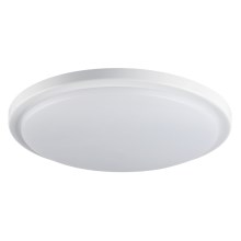 LED Fürdőszobai mennyezeti lámpa érzékelővel ORTE LED/24W/230V IP54