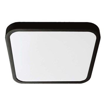 LED Fürdőszobai mennyezeti lámpa LED/18W/230V 4000K IP44 25x25 cm fekete