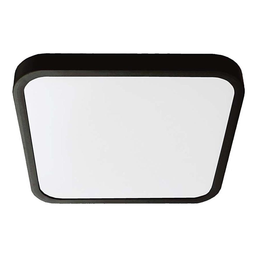 LED Fürdőszobai mennyezeti lámpa LED/18W/230V 4000K IP44 25x25 cm fekete