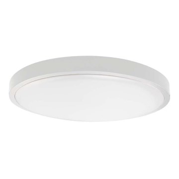 LED Fürdőszobai mennyezeti lámpa LED/18W/230V 6500K IP44 átm. 25 cm fehér