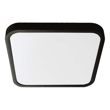 LED Fürdőszobai mennyezeti lámpa LED/24W/230V 3000K IP44 29,5x29,5 cm fekete