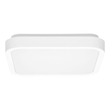 LED Fürdőszobai mennyezeti lámpa LUKY LED/12W/230V 4000K 25x25 cm IP44 fehér