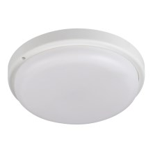 LED Fürdőszobai mennyezeti lámpa TOLU LED/18W/230V 4000K IP54 fehér