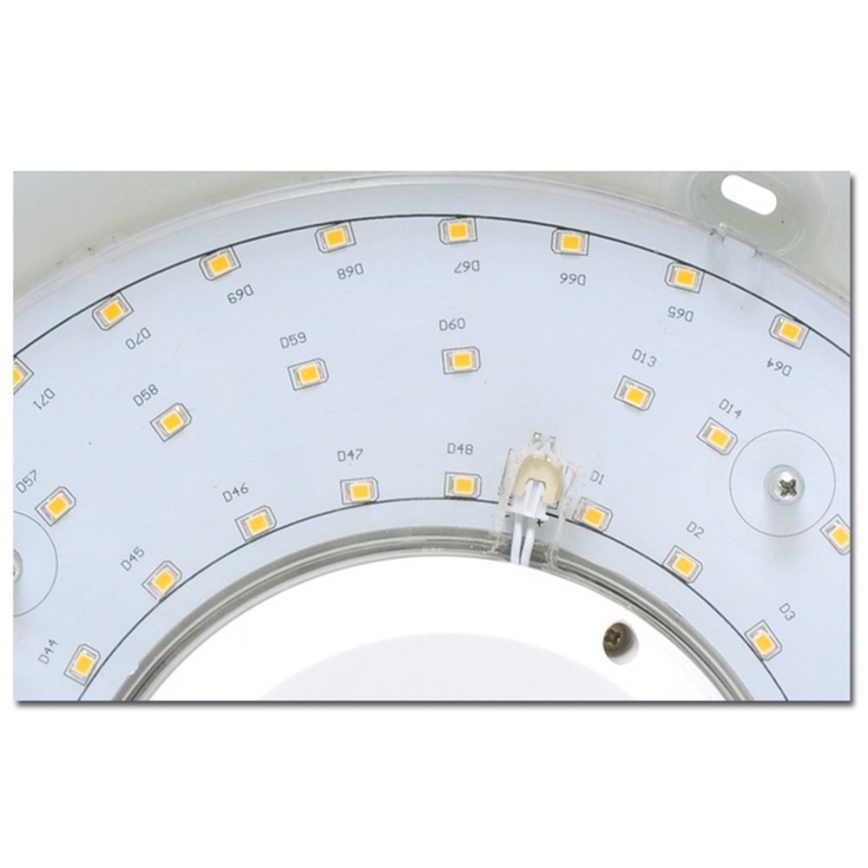 LED Fürdőszobai mennyezeti lámpa VICTOR LED/25W/230V IP44
