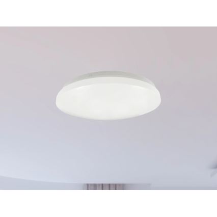 LED fürdőszobai mennyezeti lámpatest OPAL LED/12W/230V átm. 24,5 cm IP44 fehér