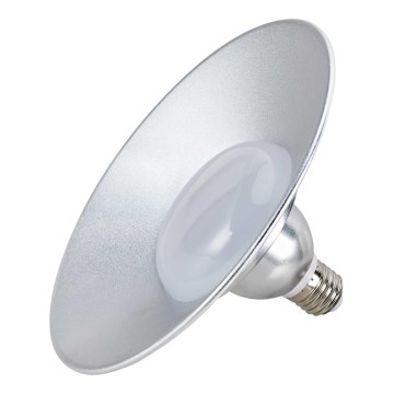 LED Izzó E27/24W/230V 4000K