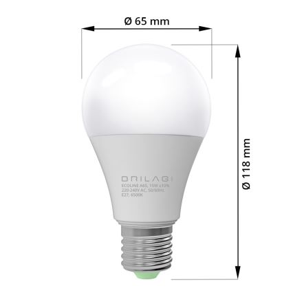 LED Izzó ECOLINE A65 E27/15W/230V 6500K - Brilagi