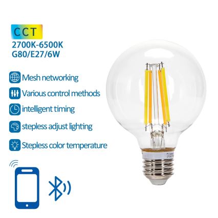 LED Dimmelhető izzó FILAMENT MESH Intelligens G80 E27/6W/230V 2700-6500K - Aigostar