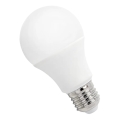 LED izzó GLS A60 E27/4,9W/230V 6000K