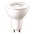 LED Izzó Philips Pila PAR16 GU10/5,5W/230V 4000K