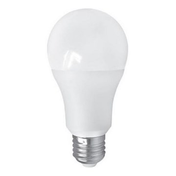 LED izzó PITT A60 AC/DC E27/12W/24V 4000K