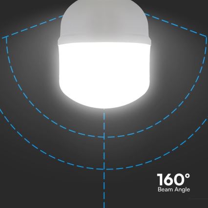 LED izzó T120 E27/40W/230V 6500K