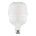 LED Izzó T80 E27/20W/230V 6500K