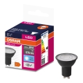 LED Izzó VALUE PAR16 GU10/6,9W/230V 6500K 36° fekete - Osram