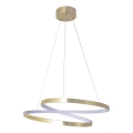 LED kábeles csillár ZEFIRA, 40 W, 230 V, 4000 K, Ø 50 cm, arany