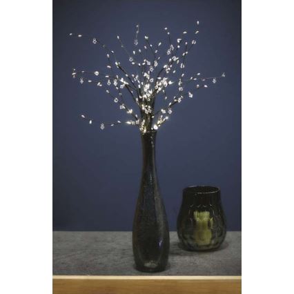 LED Karácsonyi dekoráció 24xLED/3xAA