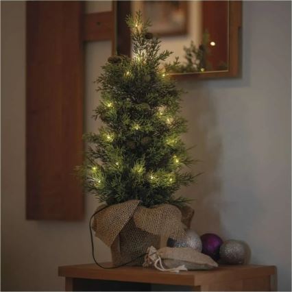 LED karácsonyi dekoráció 30xLED/3xAA IP44