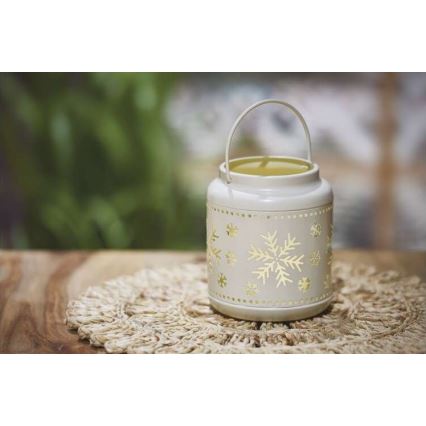 LED karácsonyi dekoráció LED/3xAAA fehér