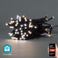 LED Karácsonyi lánc 50xLED/8 funckció 10m IP65 Wi-Fi Tuya