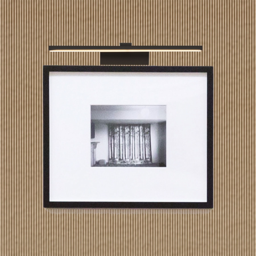 LED Képmegvilágító LED/9W/230V 3000K 39 cm fekete