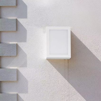 LED Küléri fali lámpa  1xLED/12W/230V 3000K IP65