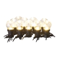 LED kültéri díszfüzér 10×LED/10 m IP44 átlátszó