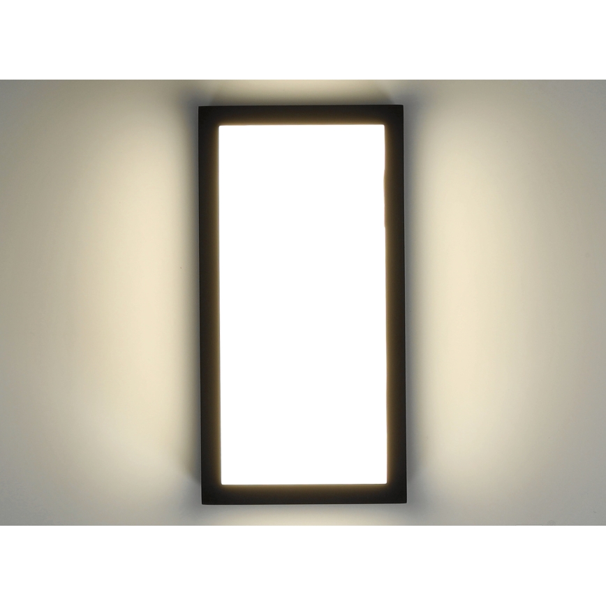 LED Kültéri fali lámpa ENTERA LED/10W/230V 4000K IP54