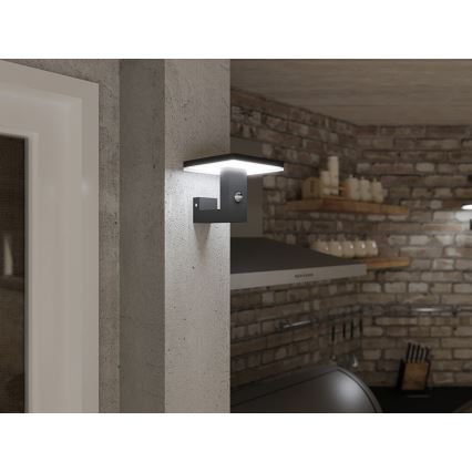 LED Kültéri fali lámpa érzékelővel BARI LED/10W/230V 4000K IP54 antracit