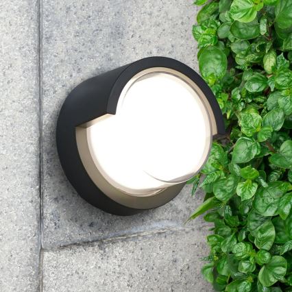 LED Kültéri fali lámpa ESSEN LED/10W/230V IP44 fekete