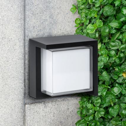 LED Kültéri fali lámpa ESSEN LED/12W/230V IP44 fekete