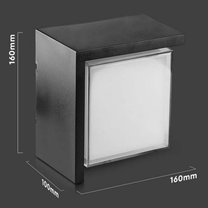 LED Kültéri fali lámpa LED/12W/230V 3000K IP65
