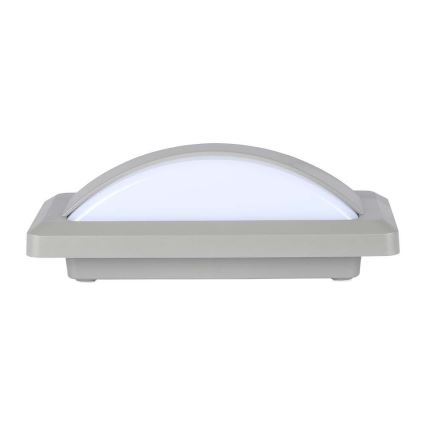 LED Kültéri fali lámpa LED/12W/230V 6400K IP65