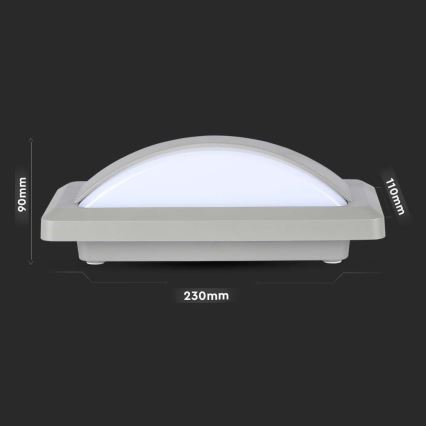 LED Kültéri fali lámpa LED/12W/230V 6400K IP65
