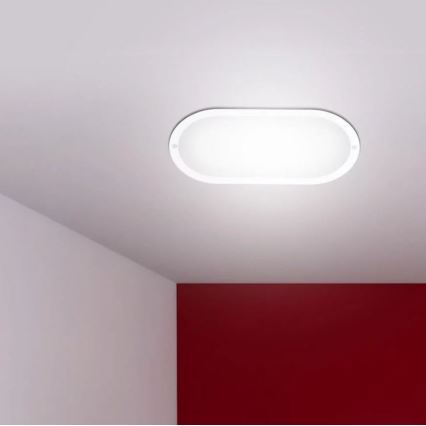 LED Kültéri fali lámpa LED/12W/230V IP54 4000K