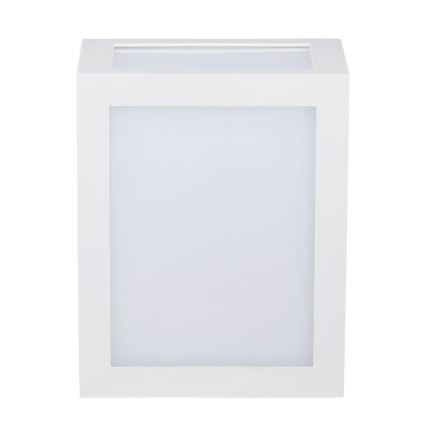 LED Kültéri fali lámpa LED/12W/230V IP65 4000K fehér