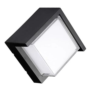 LED Kültéri fali lámpa LED/12W/230V IP65