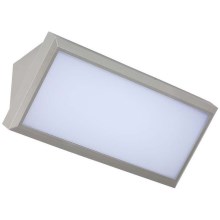 LED Kültéri fali lámpa LED/20W/230V 6400K IP65