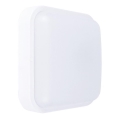 LED Kültéri fali lámpa LED/20W/230V IP54 