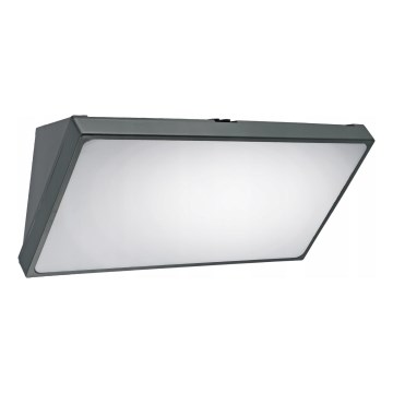 LED kültéri fali lámpa LED/20W/230V IP65 szürke