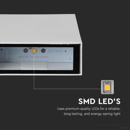 LED Kültéri fali lámpa LED/4W/230V 6400K IP65 fehér