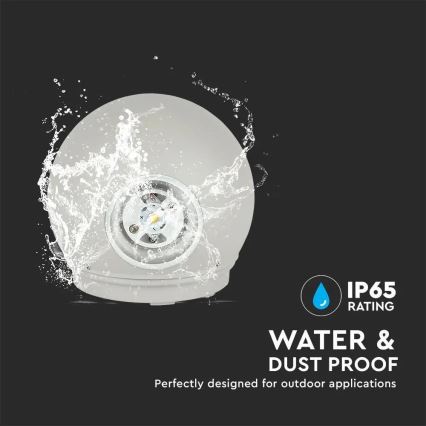 LED Kültéri fali lámpa LED/6W/230V 4000K IP65 szürke