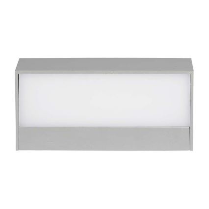 LED Kültéri fali lámpa LED/9W/230V 6400K IP65