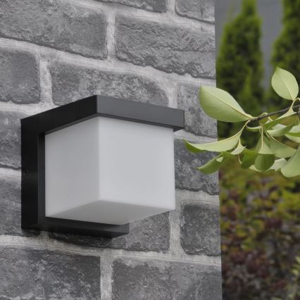 LED Kültéri fali lámpa MORGAN LED/10W/230V IP54